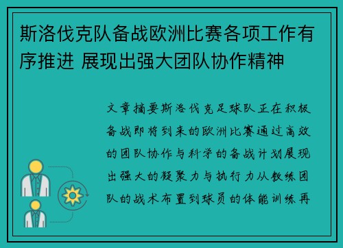 斯洛伐克队备战欧洲比赛各项工作有序推进 展现出强大团队协作精神