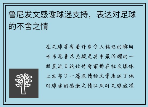 鲁尼发文感谢球迷支持，表达对足球的不舍之情