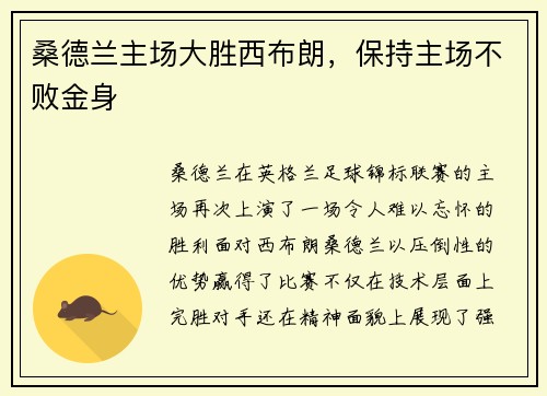 桑德兰主场大胜西布朗，保持主场不败金身