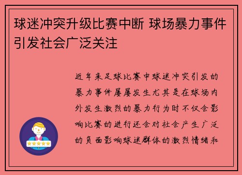 球迷冲突升级比赛中断 球场暴力事件引发社会广泛关注