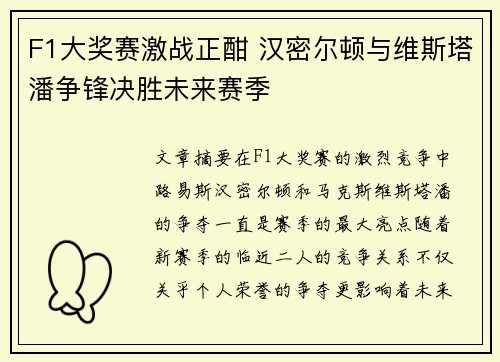 F1大奖赛激战正酣 汉密尔顿与维斯塔潘争锋决胜未来赛季